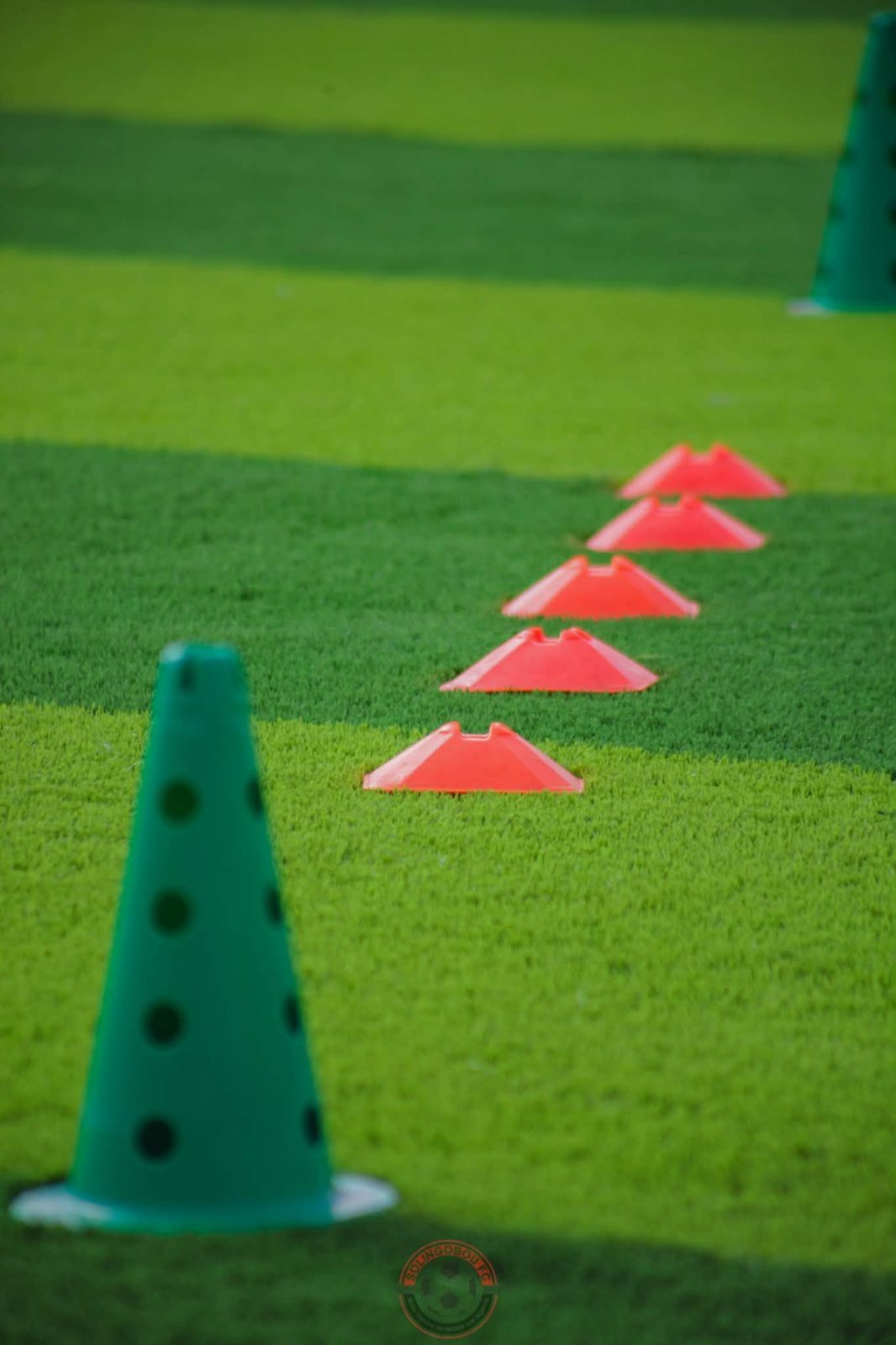 Des plots alignés pour un atelier d’entraînement